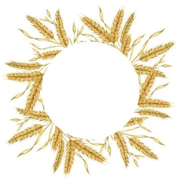 Wheat ears round frame. Barley wreath watercolor for bread, flour packaging 库存插图