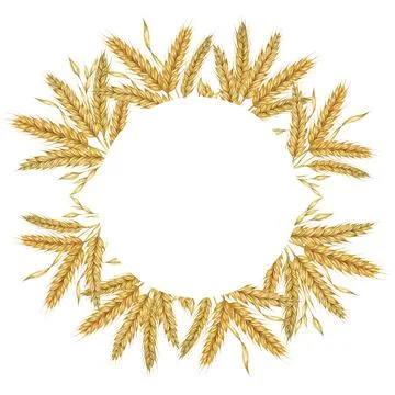 Wheat ears round frame. Barley wreath watercolor for bread, flour packaging 库存插图
