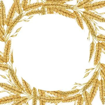 Wheat ears round frame. Barley wreath watercolor for bread, flour packaging 库存插图