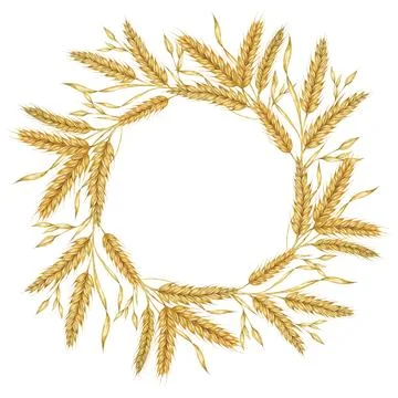 Wheat ears round frame. Barley wreath watercolor for bread, flour packaging 库存插图