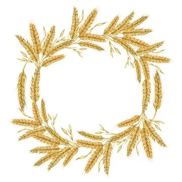 Wheat ears round frame. Barley wreath watercolor for bread, flour packaging 库存插图