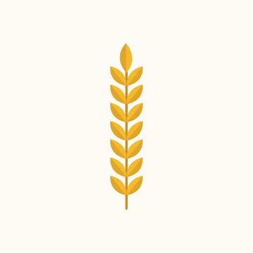 Wheat ears spikelets with grains. Stock Illustration