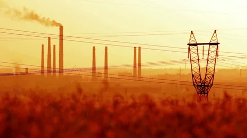 Wheat ears on sunset background Stock Footage 80362169