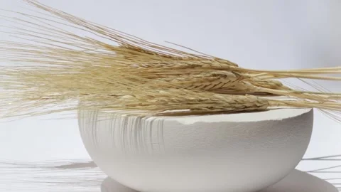 Wheat ears. Wheat close-up. Wheat Spikelets on a light background Video stock 243097553