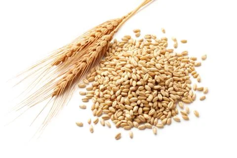 Wheat ears with wheat kernels Stock Photos