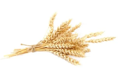 Wheat ears on white background. Stock Photos