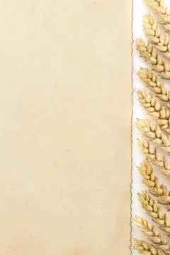 Wheat ears on white Stock Photos