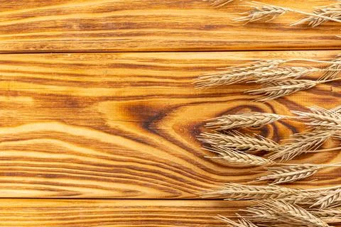 Wheat Ears on the Wooden Table. Sheaf of Wheat over Wood Background. Harvest  Stock Photos