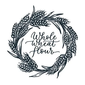 Wheat ears wreath frame isolated on white background. Vector sketch hand draw Stock Illustration