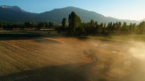 Wheat Farming Stock Footage 340779032