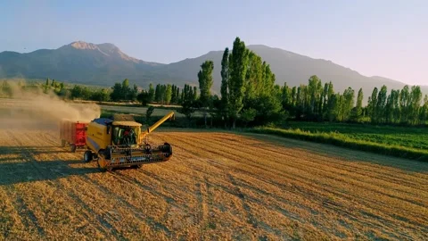 Wheat Farming Stock Footage 340779195