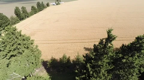 Wheat Field Aerial Drone View 스톡 동영상 63571233