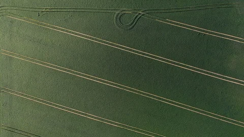 Wheat field aerial Stock Footage 109161277
