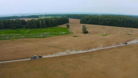 Wheat field aerial Stock Footage 116567146