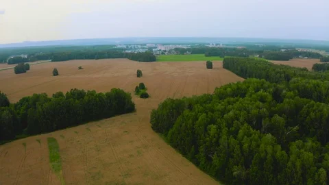 Wheat field aerial Stock Footage 116567182