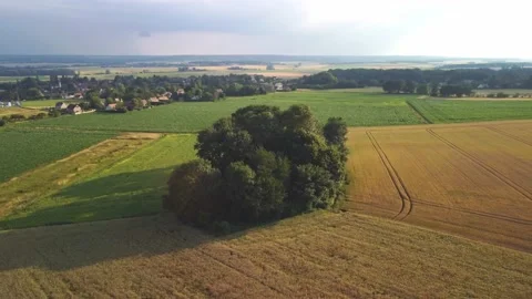 Wheat field aerial view Stock Footage 156675380