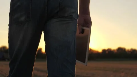 Wheat field agriculture farmer using digital tablet, Business innovation farming Stock Footage 300466931