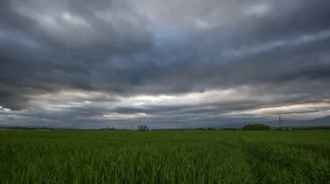 Wheat field and Clouds Time Lapse Stock Footage 23266127