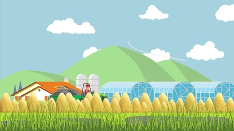 Wheat Field And The Happy Farmer Video stock 160053762