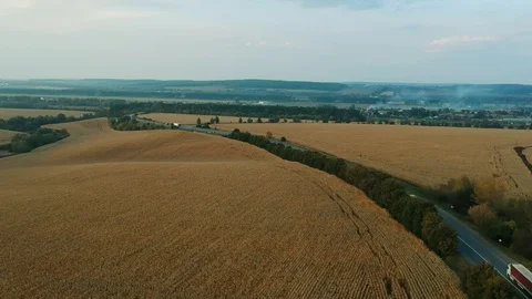 Wheat field and highway Stock Footage 96003701