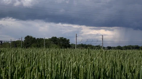 Wheat field and train rail on west coast line England 4k UK Stock Footage 111234314