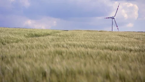 Wheat field and wind generator Stock Footage 108597460