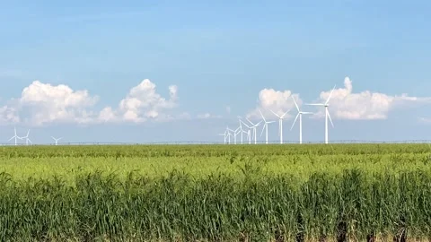 Wheat Field and Wind Turbines in the background, 4K Stock Footage 138646234