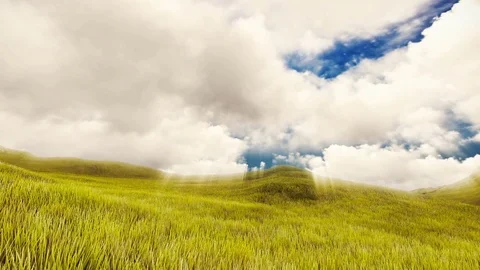 Wheat field with animated clouds Stock Footage 72642128