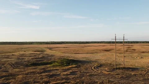 Wheat field. Areal shot. Video stock 138295583