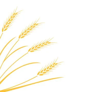 Wheat field background. Stock Illustration