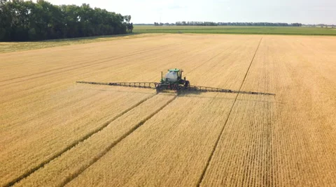 Wheat field being sprayed Stock-Footage 66806936
