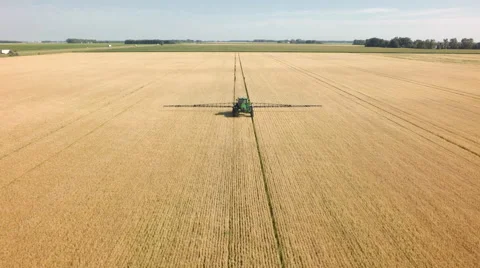 Wheat field being sprayed Stock-Footage 66814965
