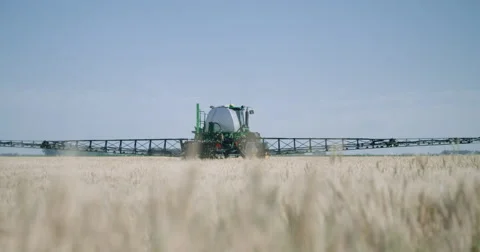 Wheat field being sprayed Stock-Footage 66815642