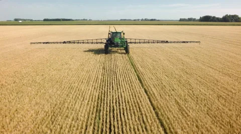 Wheat field being sprayed Stock-Footage 66818885