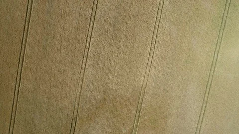Wheat Field Birds Eye View Pattern Stock Footage 77433727