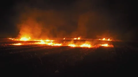 Wheat Field Burning at Night with Heavy Smoke and Environmental Damage Concept Stock-Footage 331825563
