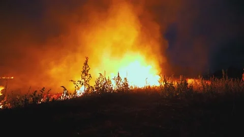 A wheat field is burning. war Ukraine, Kherson region. Arson, explosion 스톡 동영상 201009061