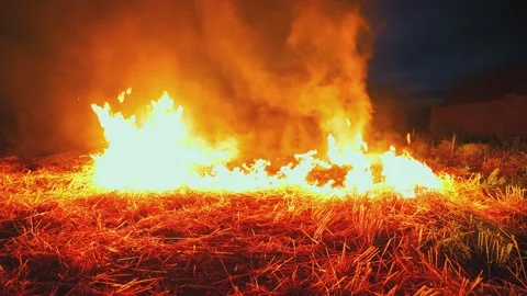 A wheat field is burning. war Ukraine, Kherson region. Arson, explosion 스톡 동영상 201009062