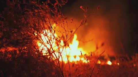 A wheat field is burning. war Ukraine, Kherson region. Arson, explosion Stock Footage 201009113
