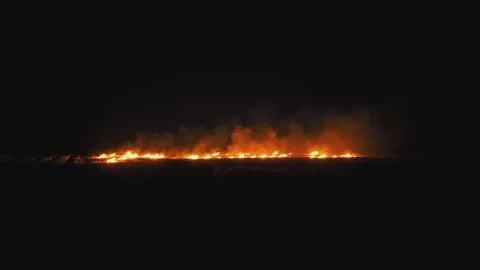A wheat field is burning. war Ukraine, Kherson region. Arson, explosion Stock Footage 201009124