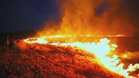 A wheat field is burning. war Ukraine, Kherson region. Arson, explosion 스톡 동영상 201009169