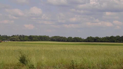 A wheat field on a cloudy blue sky day Stock Footage 153571307