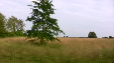Wheat field with farmhouse in the background Stock Footage 144535