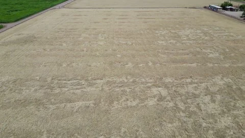 Wheat Field Fly Over Vídeos de archivo 326722575