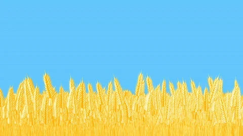 Wheat field Stock Footage 277300