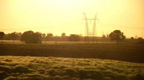 Wheat field Stock Footage 718245
