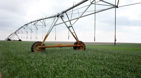 Wheat field Stock Footage 25313872