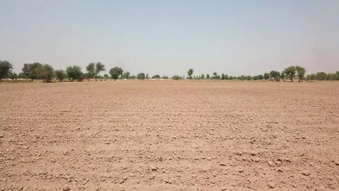 Wheat Field Video stock 90679018