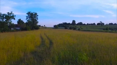Wheat Field Stock Footage 91101185