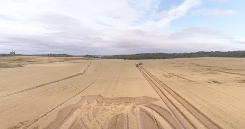 Wheat field Stock Footage 124857327